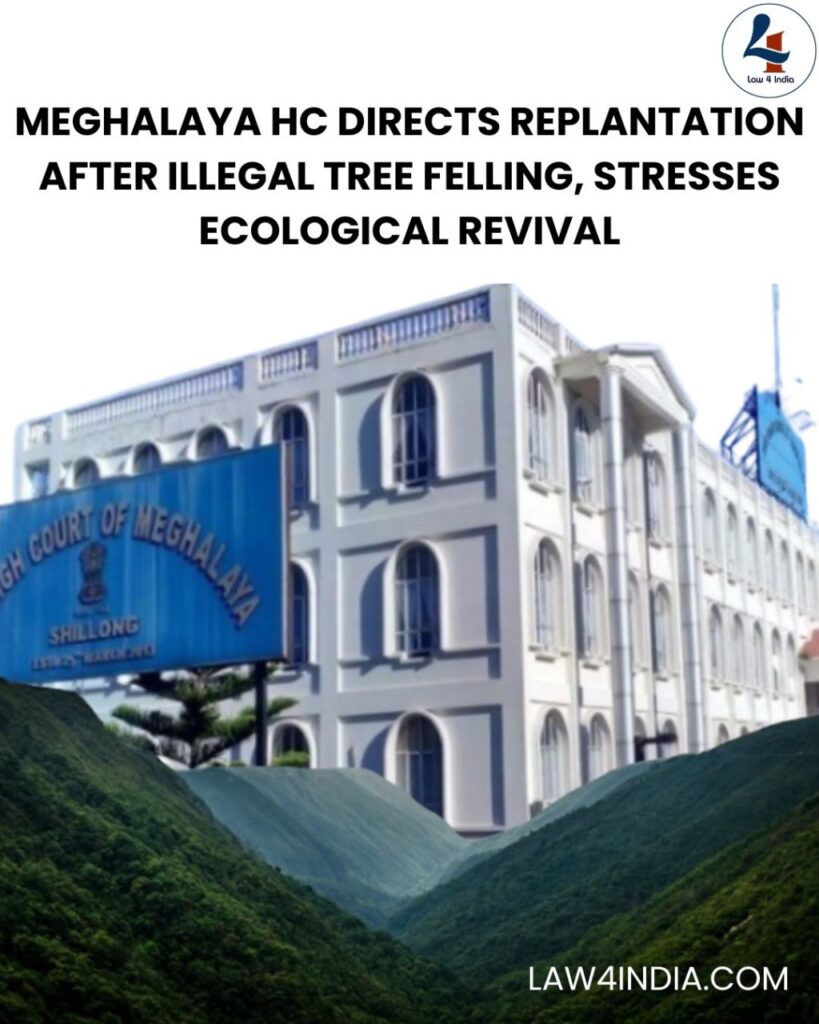 Meghalaya High Court Scrutinizes State’s Unlawful Tree Felling in East Khasi Hills, Directs Replanting to Revive Ecosystem